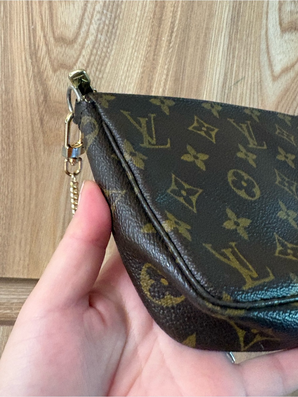 Auth LOUIS VUITTON Monogram Pochette Accessories - Picture 5 of 12